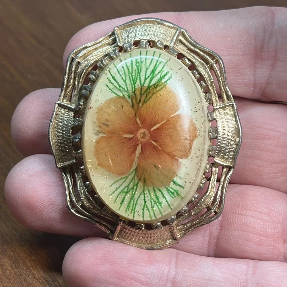 Vtg Gold Tone Pressed Flower Resin Brooch Pendant Mid Century Botanical Pin